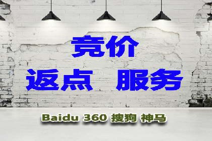 揭秘：成功SEM推广代运营公司案例解析